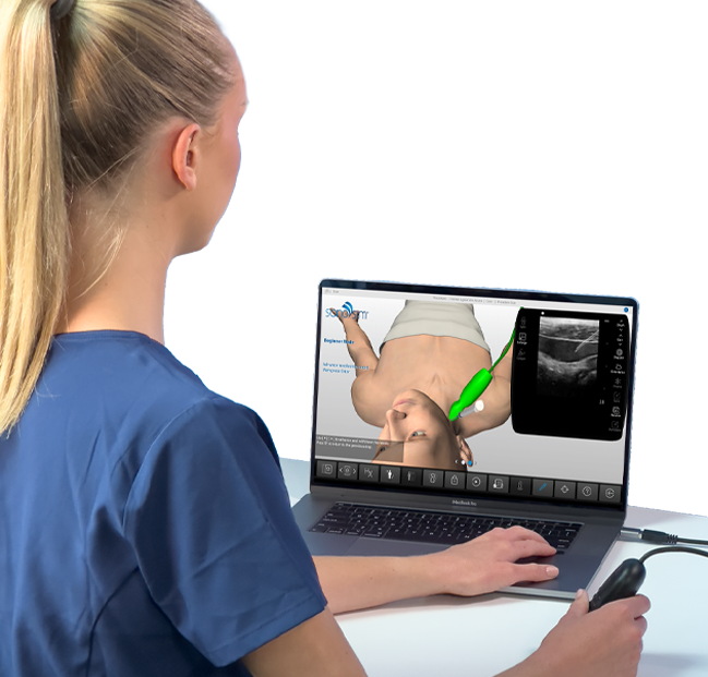 Health care practitioner performing an ultrasound-guided procedure in the SonoSimulator