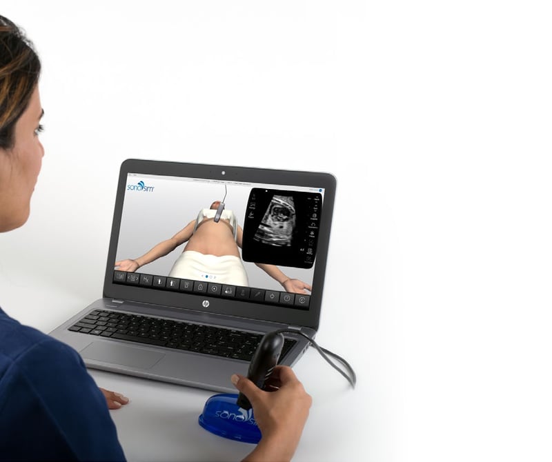 Learner scanning ultrasound case studies in a challenge case