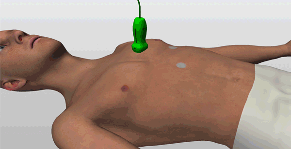 Final-Layers-Gif-Crop Final-Layers-Gif-Crop