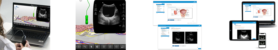 Bladder Clinical Ultrasound Training on Multiple Devices with Knowledge Test"