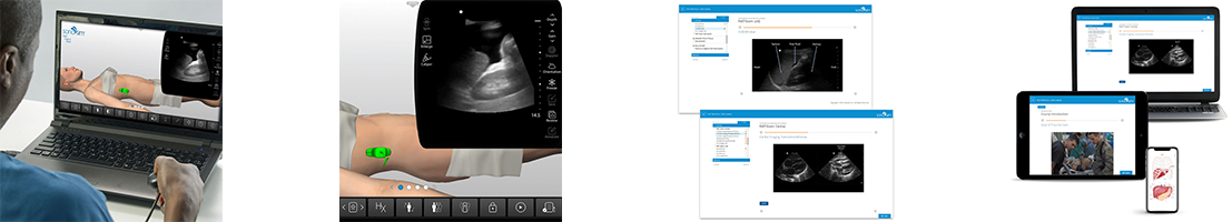 FAST Protocol Clinical Abdominal Ultrasound Training with Post-Course Testing