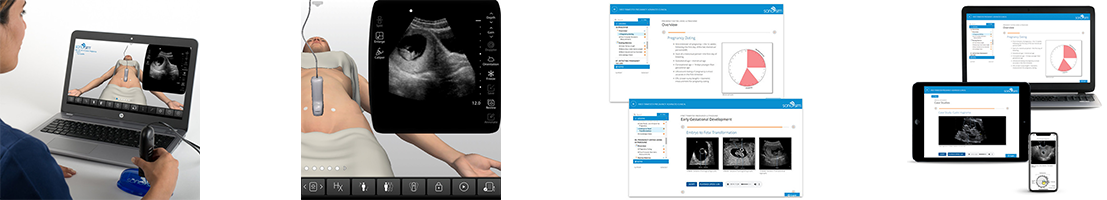 OB GYN Ultrasound Training