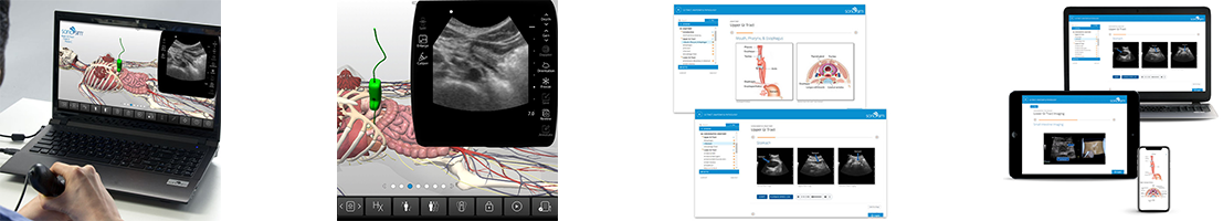 GI Tract Anatomy & Physiology Ultrasound of the Abdomen Training with Knowledge Verification