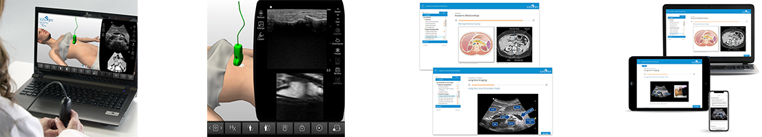 Pancreas Anatomy & Physiology Ultrasound Abdomen Training with End-of-Course Testing