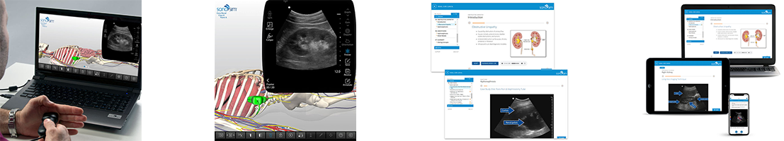 Renal Clinical Ultrasound Abdomen Training with Knowledge Verification