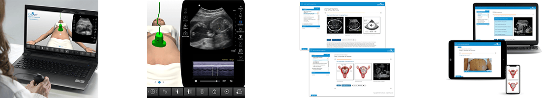 OB GYN Ultrasound Training