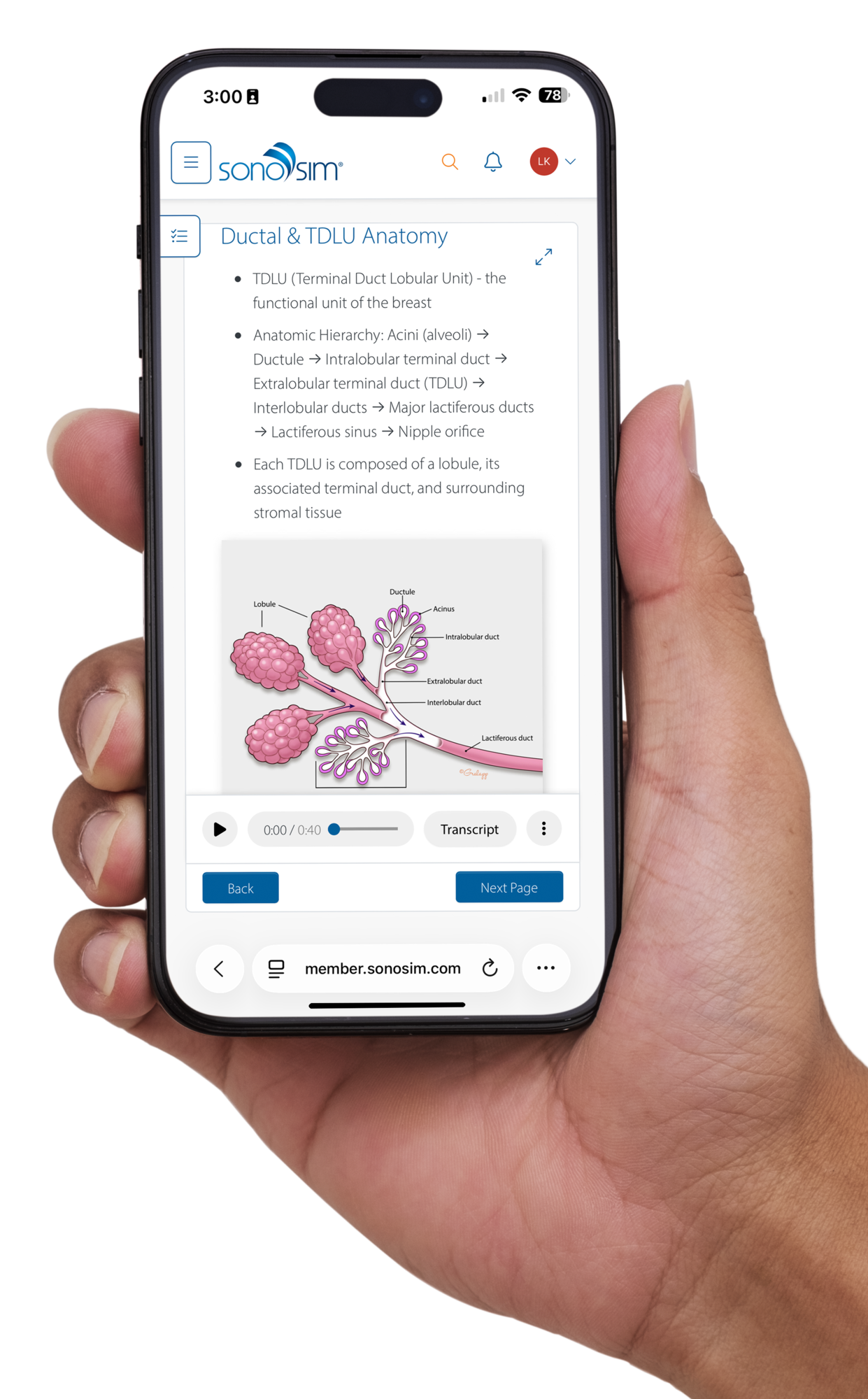 Intro_to_breast_phone_mock_up Intro_to_breast_phone_mock_up