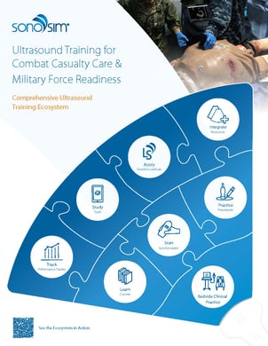 Download the sim military brochure