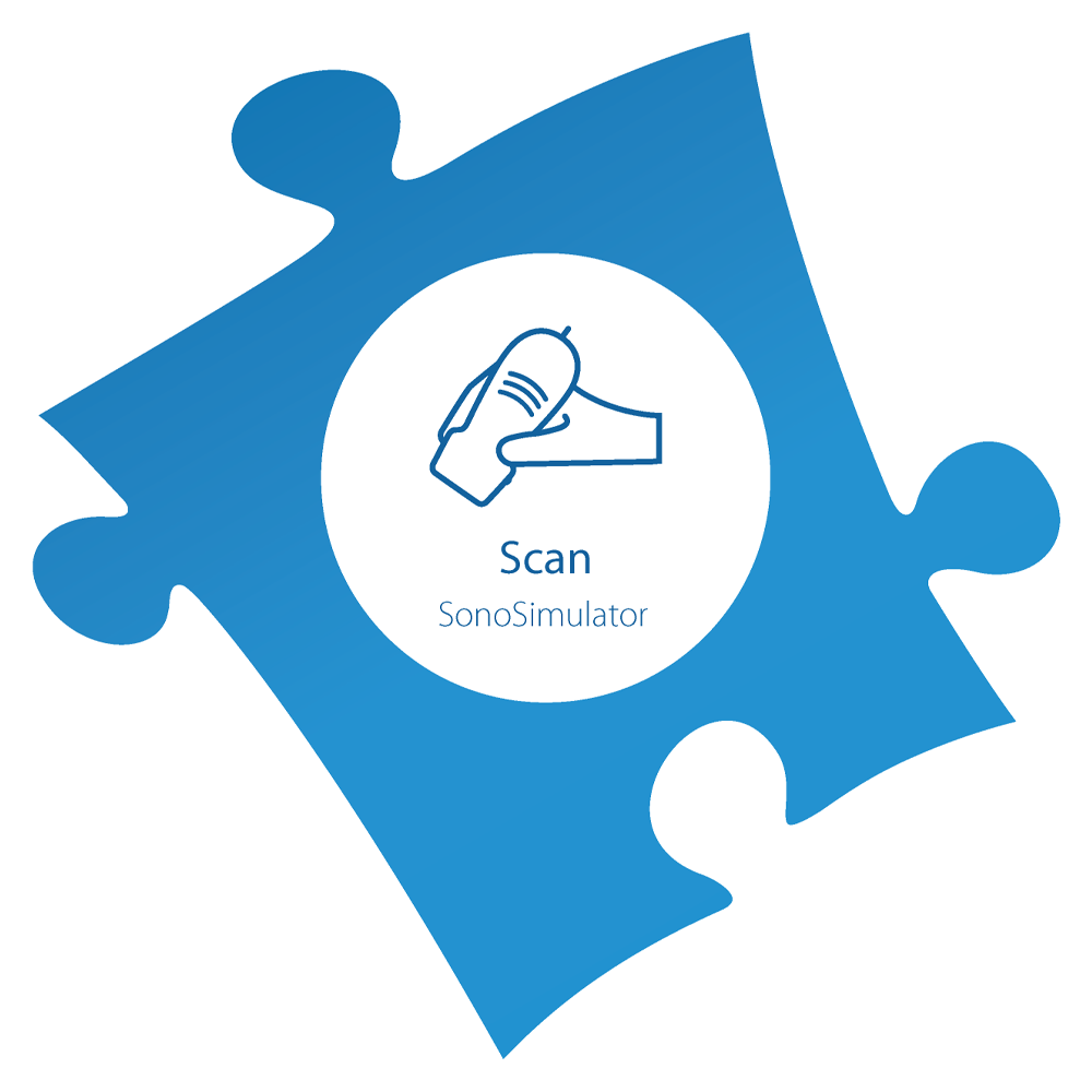 The scan element gives learners ultrasound scanning practice to cultivate image acquisition and interpretation skills