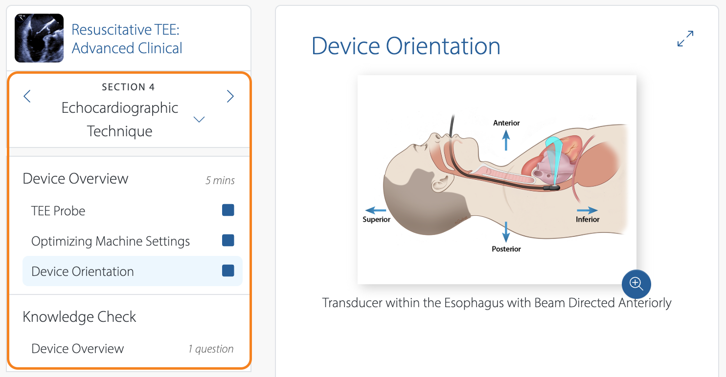 New Course Taking Expierence