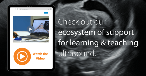 SonoSim_January_2025_ad_2