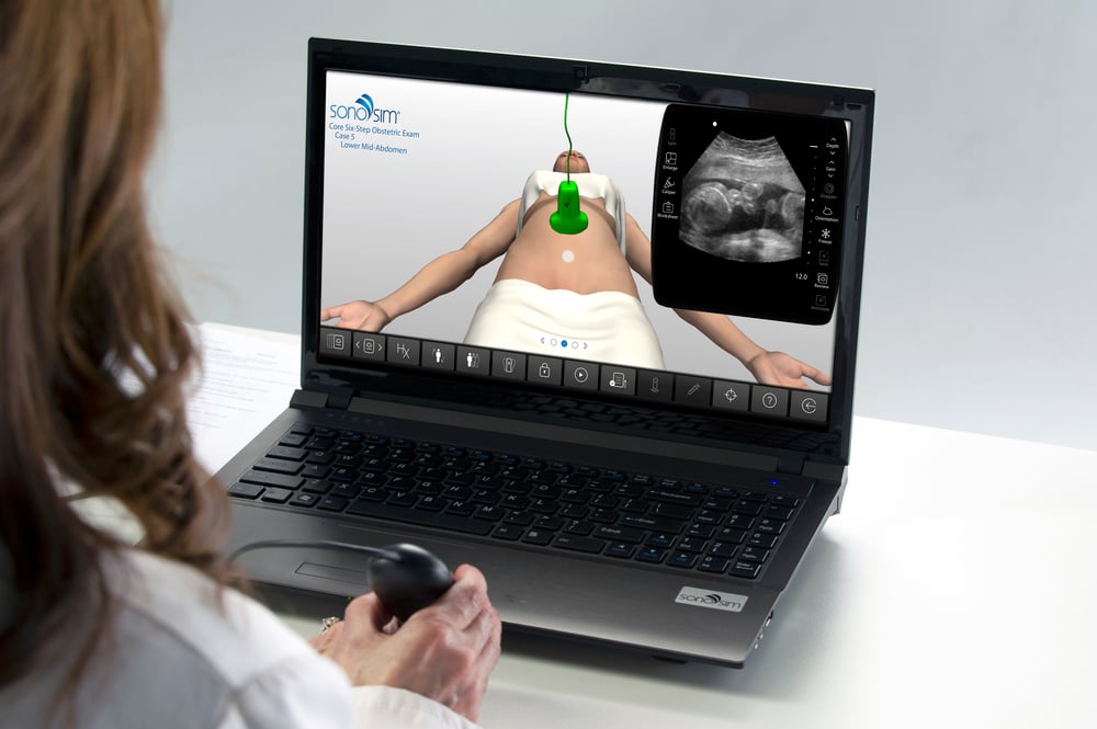 Learner scanning through an assignment on her laptop as part of her ultrasound curriculum Learner scanning through an assignment on her laptop as part of her ultrasound curriculum