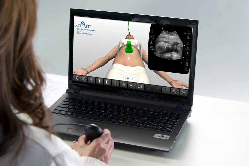 Learner scanning through an assignment on her laptop as part of her ultrasound curriculum