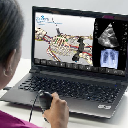 Learner uses layer function to see how the ultrasound beam relates to the anatomy and ultrasound image