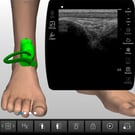 Ankle Anatomy & Physiology