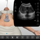 OB-GYN Clinical