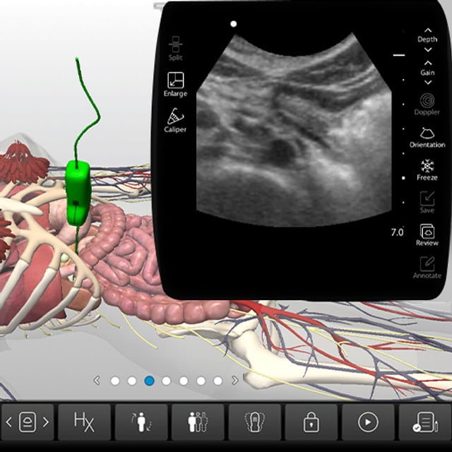 gi_tract_devices__00900 gi_tract_devices__00900