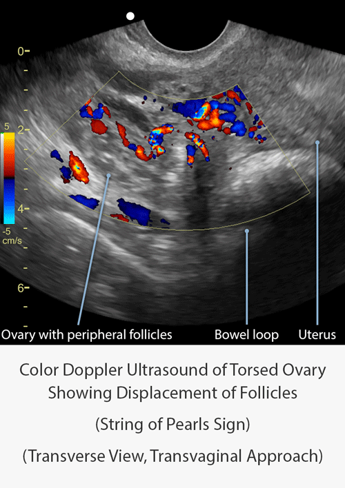 imaging-tips_October_Final