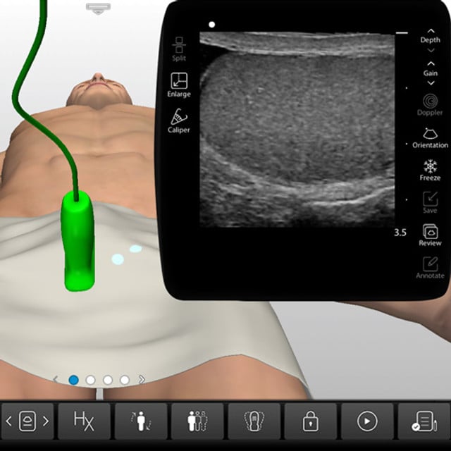 scrotum_case_screen__41945 scrotum_case_screen__41945