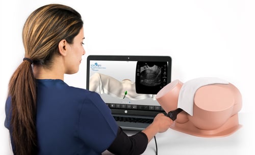 sonosim_transvaginal_scaning_small