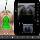 Thyroid
