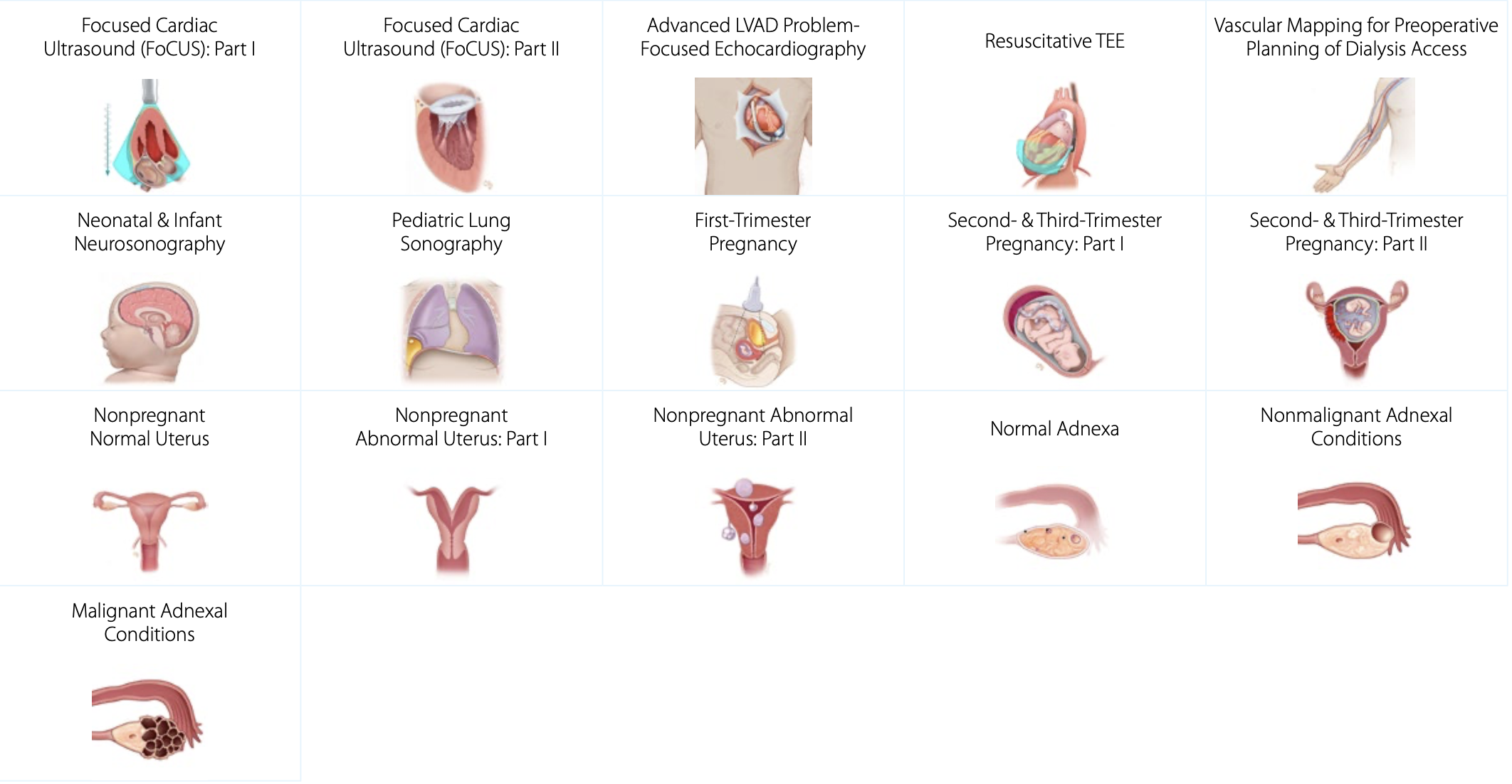 Second and Third Trimester Pregnancy Advanced Clinical Ultrasound Training  Part 1