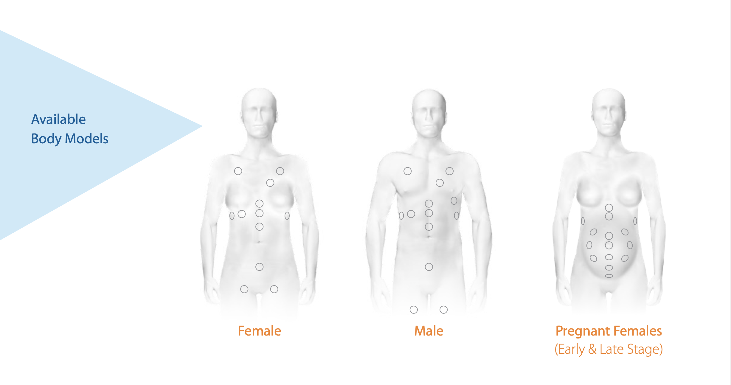 Different body models expand the use cases for this ultrasound simulator